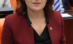 CHP'li Gülcan Kış'tan Su Kesintisi Açıklaması