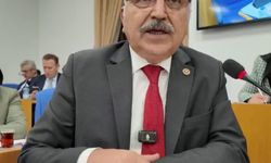 Dinçer’den Esnaf ve Akkuyu Çıkışı