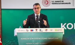 Vali Toros: "Türkiye’nin Hedefi Değişimin Merkezinde Olmak"