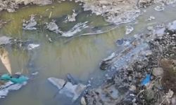 Akdeniz'de Çevre Krizi: “Sarıibrahimli'deki Kanal Sorununa Sert Tepki!”