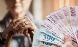 Emeklilere 2 maaşa kadar promosyon ödenecek!