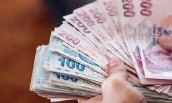 Ev ve arsa alacaklar dikkat! Bunu yapanlar ceza ödeyecek