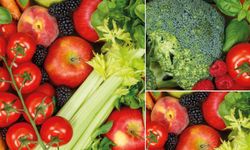 Yaş Meyve Sebze İhracatında Ekim Rekoru: 198,6 Milyon Dolar