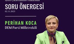 DEM Partili Koca, 'Güller ve Günahlar' Set İşçilerinin İşten Çıkarılmasını Meclis Gündemine Taşıdı