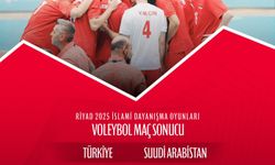 A Milli Erkek Voleybol Takımı, finale yükseldi