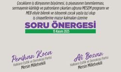 Bozan ve Koca'dan Tekin'e Sert Soru: “MESEM İçin Daha Kaç Çocuk Ölmeli?”