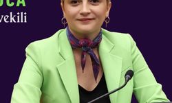 Koca, “Bakanlık Niçin Adım Atmıyor?”