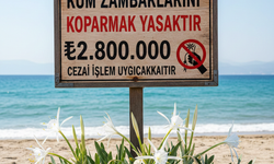 Kum Zambaklarını Koparana Ağır Ceza: Erdemli Sahilleri Kırmızı Alarmda