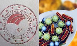 Gıda Zehirlenmelerine Karşı Bakanlıklardan Kritik Uyarı