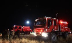 Gürcistan İçişleri Bakanı Geladze, Türkiye'ye ait asker kargo uçağının düştüğü bölgede