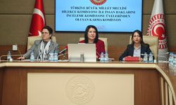 Komisyonda 'İmralı ziyareti' tartışması