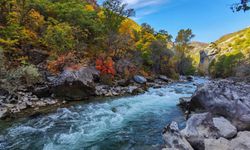 Munzur Vadisi’nde HES ve baraj projesine yargı freni