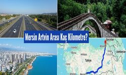 Mersin Artvin Arası Kaç Km, Kaç Saat? 2025 Ulaşım ve Yakıt Masrafı Rehberi