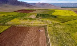 Mersin Erdemli'de ev ve bahçesi mahkeme sattığı için bu fiyata verilecek