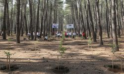 Mersin, "Yeşil Vatan" İçin Fidan Dikimine Hazırlanıyor