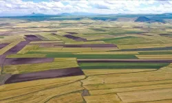 Mersin'de mahkemeye düşen arsalı ev fiyatıyla şaşırttı: Mahkemeye bu rakamı ilk getiren alacak