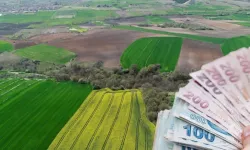 Mersin'de Tarla ve Üzerindeki Her Şey Satılıyor: Devlet Kurumu Sadece Bu Fiyatı İstedi