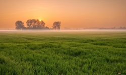 Mersin'de Yatırım Şansı: Bu Tarihi Kaçırmayan Arsayı Ucuza Alacak