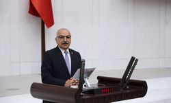 Talat Dinçer: “Hasat Sürerken Pazarlar İthal Ürünle Doldu"