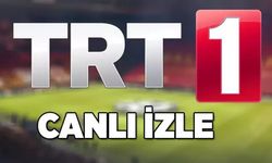 Viktoria Plzen Fenerbahçe maçı canlı izle