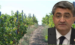 Vekil Ekmen'den Don Ödemeleri ve İthalat Politikası Eleştirisi