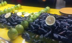 Mersin’de Midye Satıcıları Endişeli: “Satışlarımız Yarı Yarıya Düştü”