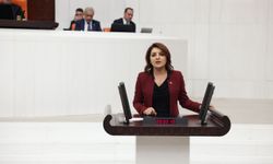 CHP’li Gülcan Kış: “Gençler Umut Yerine Pasaport Taşıyor”