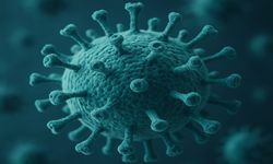 Mutasyona Uğrayan H3N2 Virüsü Kapıda: “Salgın Başlayabilir”