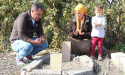 ‘Ölü’ Denilen Bebek Mezarlık Yolunda Ağladı: Ailenin Şikayetine Takipsizlik Kararı