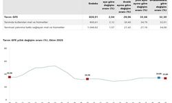 TÜİK: Tarımsal Girdi Fiyatları Yüzde 32,30 Arttı