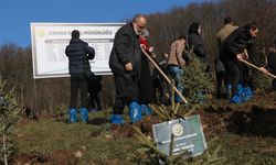 Grand Kartal Otel Yangını Anısına Hatıra Ormanı