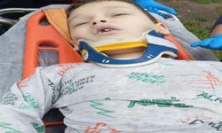 Bir Gün Arayla Aynı Yerden Düşüp Öldüler