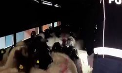 Küçükbaşın Karın Boşluğunda Metamfetamin Bulundu