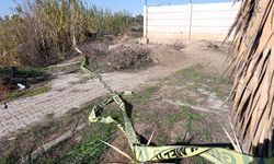 Yol Kenarında Şüpheli Ölüm