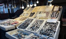 Havalar Bozuldu, Balığın Kulağına Kar Suyu Kaçtı