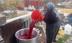 Gülnarlı Kadınlar Nar Ekşisini İmece Usulüyle Yaşatıyor