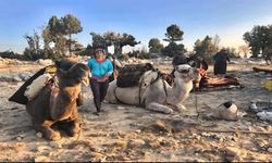 Sarıkeçili Yörükler Toroslar’dan Akdeniz’e Kış Yolculuğunda