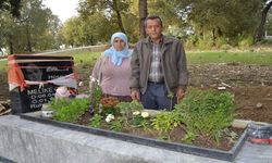 Kızının Mezarındaki Çiçekler Sürekli Çalınınca Güvenlik Kamerası Taktırdı