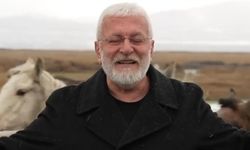 Sanatçı Onur Akın'a At Çarptı