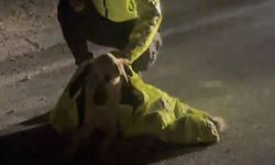 Yaralı Köpeğe Polis Şefkati Yürekleri Isıttı