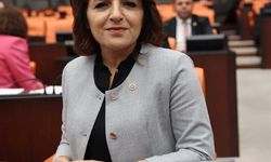 CHP’li Kış’tan Meclis’te Kuraklık Uyarısı: "Türkiye Su Yönetimi Krizi İçinde"