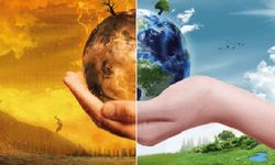 İklim Değişikliği Mersin Tarımını Tehdit Ediyor: Sıcaklık Yükseldi, Su Azaldı