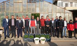 Aydıncık’ta Salatalık Sezonu İlk Hasatla Başladı