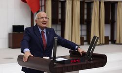 Milletvekili Kocamaz’dan Meclis’teki Kavgaya ve "Çözüm Süreci" Tartışmalarına Sert Tepki