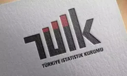 TÜİK: Hizmet İhracatının Yüzde 62,3’ü Büyük Ölçekli Girişimlerden