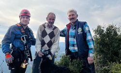 Kayalıklarda Mahsur Kalan Keçileri İtfaiye Kurtardı