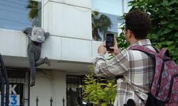 Penceredeki ‘Hırsız’ Mankeni Görenler Polisi Arıyor