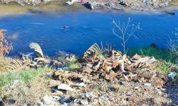 Dereye At ve Eşek Kalıntıları Atıldı; Mahalleli Tepki Gösterdi
