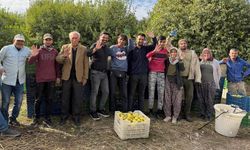 Mersin’de Limon Mesaisi: İşçiler Sabahın İlk Işıklarıyla Bahçeye Giriyor