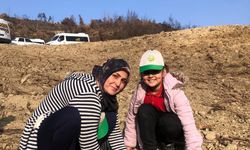 Öğrenciler Yangında Zarar Gören Orman Alanına Fidan Dikti